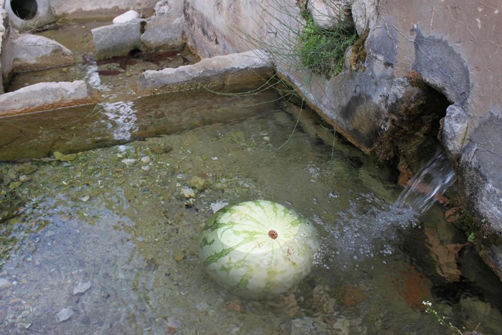 El Molinet Del Governador *